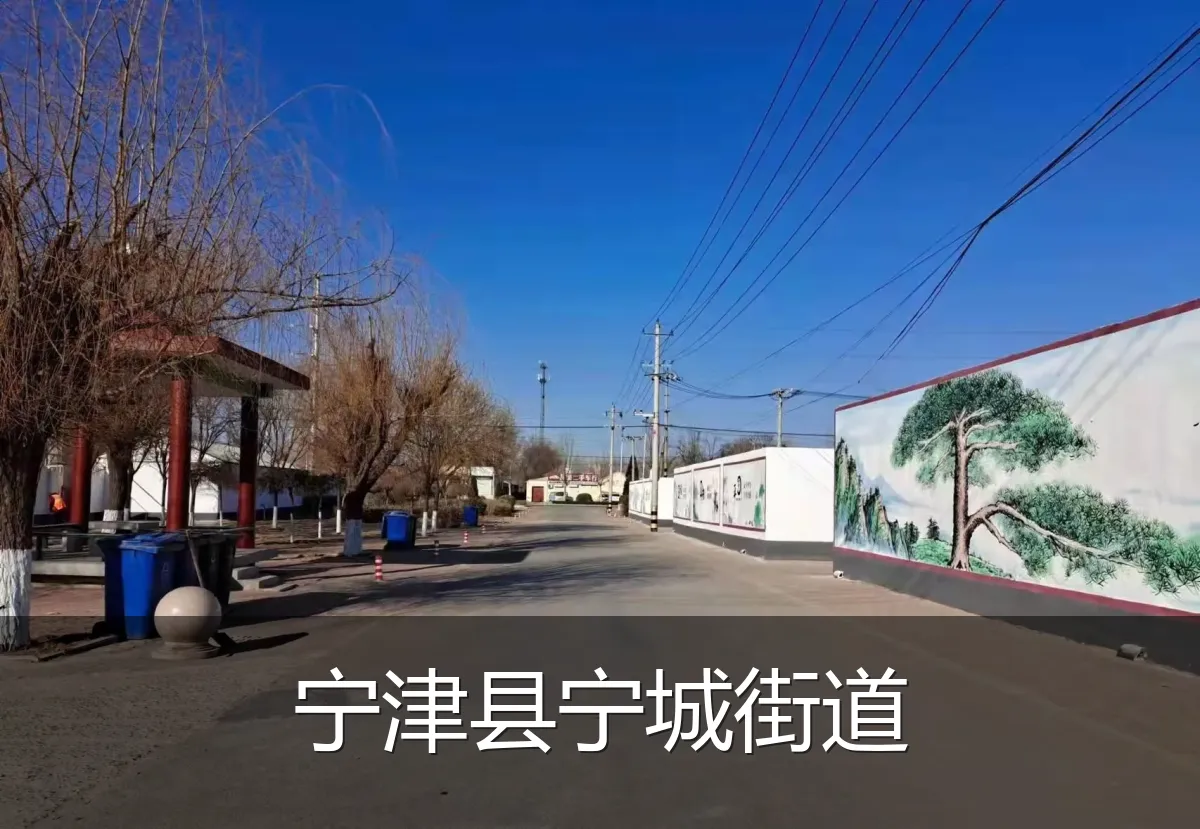 宁津县宁城街道