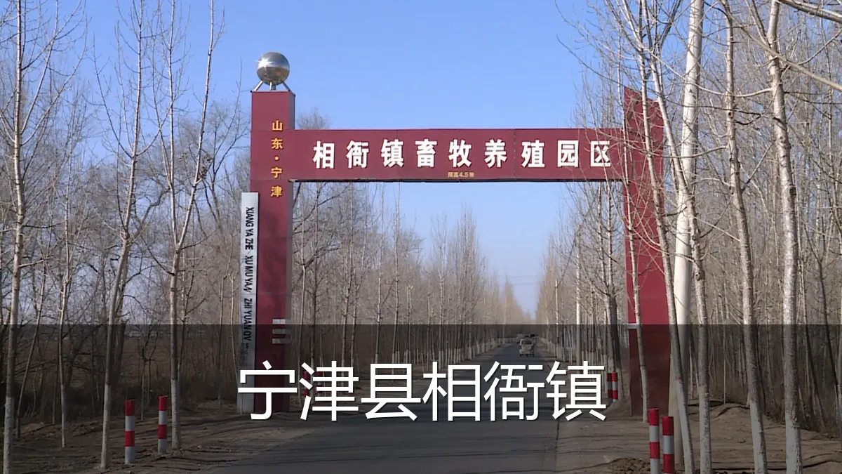 宁津县相衙镇